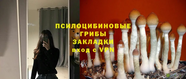 спайс Алзамай