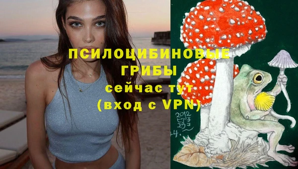 спайс Алзамай