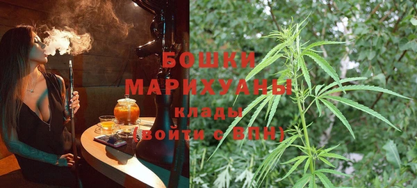 спайс Алзамай