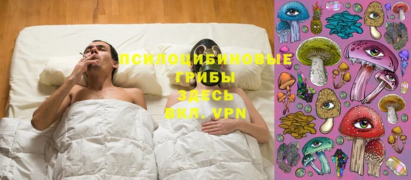 спайс Алзамай