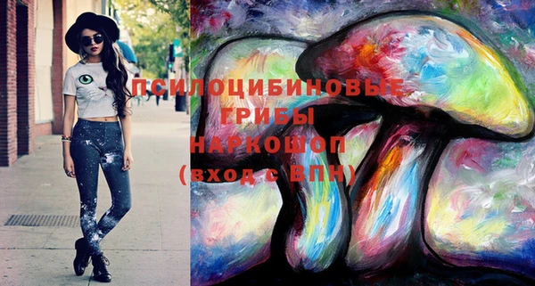 дмт Алексеевка